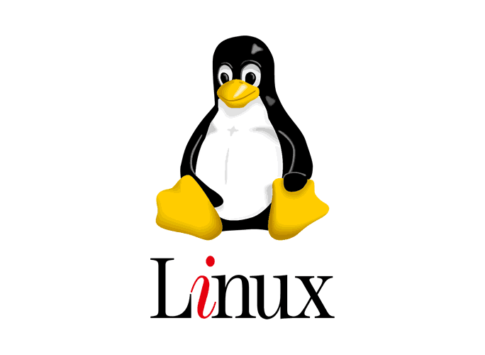 Mastering Linux Command Line: Must-Know Functions for Beginners and&nbsp;Professionals